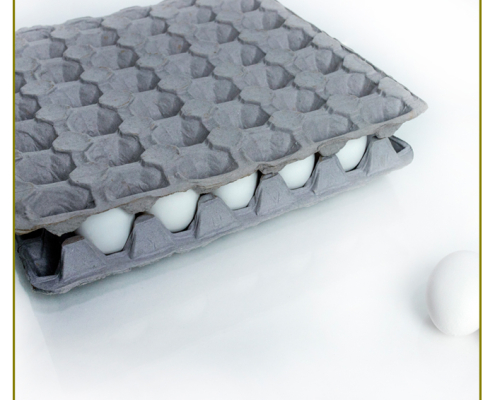 yuva_viol_kapakli_yumurta_viyol_7