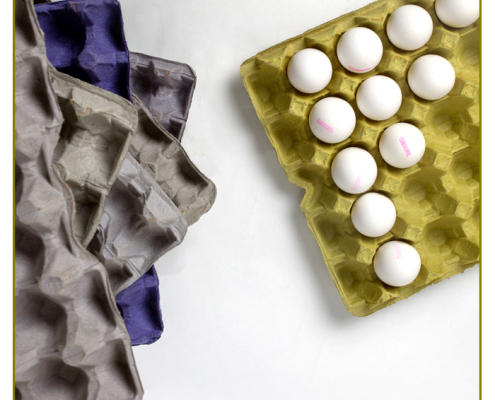 yuva_viol_yumurta_viyol_2