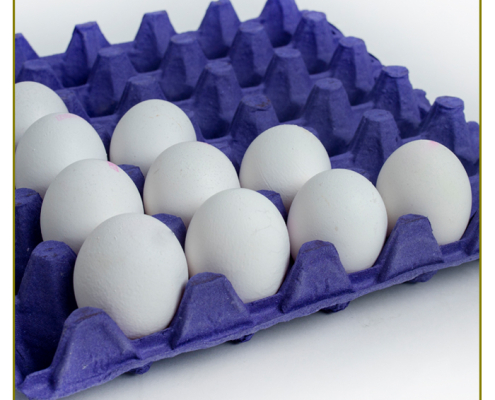 yuva_viol_yumurta_viyol_6